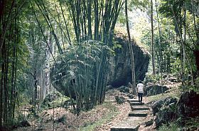 Bori: Felsgrber im Bambuswald