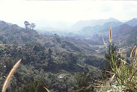 Landschaft Toraja