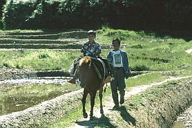 Junger Mann und Junge auf einem Pferd