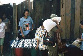 Mamasa Fischverkufer