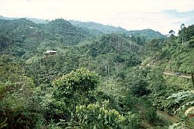 Landschaft Mamasa