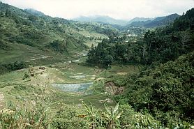 Landschaft Mamasa