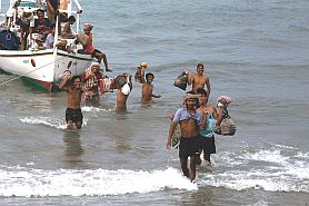 Majene: Sachen und Fische werden vom Boot an Land getragen