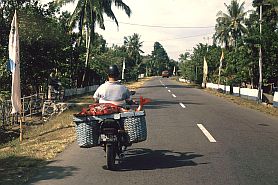 Fischtransport mit dem Motorrad