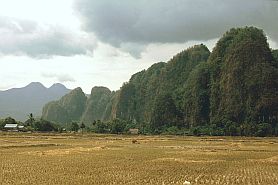 Kalkfelsen bei Leang Leang