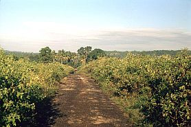 Strae von Raha nach Tolandona