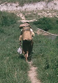 Schwer beladene Frau auf dem Heimweg