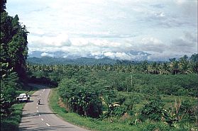 Landschaft zwischen Toboli und Palu