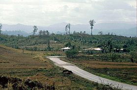 Landschaft zwischen Moutong und Gorontalo