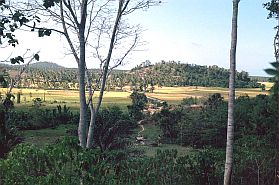 Landschaft zwischen Moutong und Gorontalo