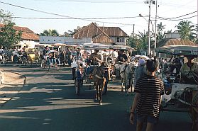 Gorontalo: wartende Pferdetaxen