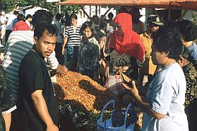 Gorontalo: Markt