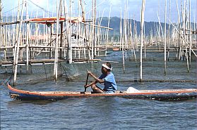 Limboto-See: Fischzuchten