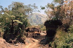 Vulkanerde des Gunung Lokon