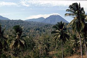 Tangkoko-Nationalpark