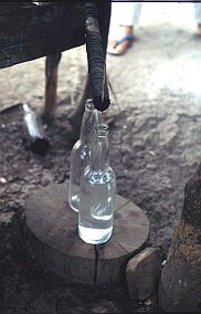 Arak-Destille: Hoch konzentrierter Arak trpfelt in die Flasche