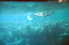 Bunaken: Unter Wasser