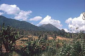 Blick auf Gunung Lokon