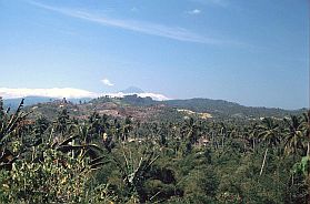 Landschaft im Norden mit Mt. Klabat