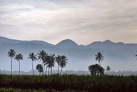 Landschaft im Morgendunst