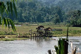 Auf dem Weg nach Bangko: Wasserräder