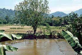 Auf dem Weg nach Bangko: Wasserräder