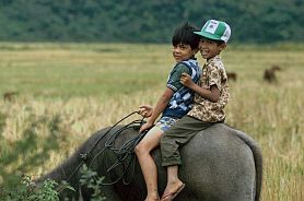 Zwei Jungen reiten auf einem Bffel