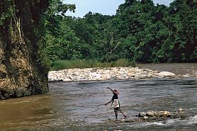 Im Gunung-Leuser-Nationalpark