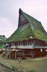 Karo-Batakdorf Lingga: Traditionelles Haus