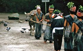 Huta Bolon: Tanzvorfhrung