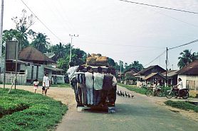 Bustransport bei Sidikalang
