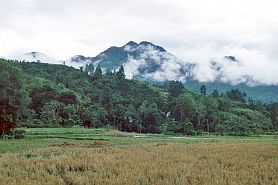 Traditionelles Batak-Dorf, gut versteckt