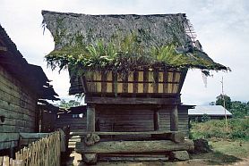 Im Karo-Batak Dorf Lingga - Reisspeicher