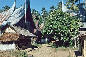 Traditionelles Minangkabau-Dorf Balimbing