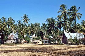 Traditionelles Minangkabau-Dorf Balimbing