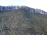 Kirchenburg Birthlm: Blick auf ehemalige Weinberge