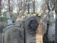 Radautz: Jdischer Friedhof