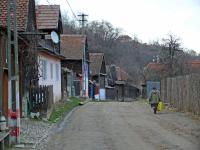 15-P1030890