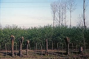 tuerkei_073