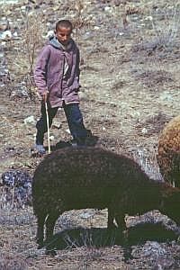 tuerkei_438