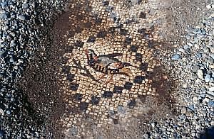 Anamur: antike Stadt Anemurion - Bodenmosaik tuerkei1988_537