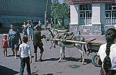 usbekistan1986_0095