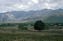 usbek2001_0311