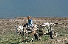 usbek2001_0326