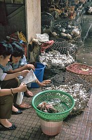 Saigon: Markt Ben Thanh