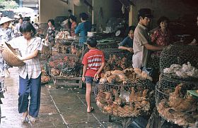 Saigon: Markt Ben Thanh