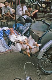 Saigon: Cholon - Markt Binh Tay, Ententransport