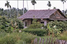 My Tho: Mekonginsel