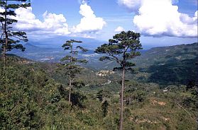 Landschaft zwischen Da Lat und Buon Ma Thuot