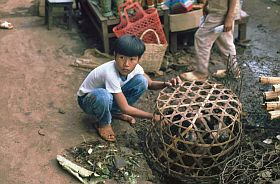 Buon Ma Thuot: Markt